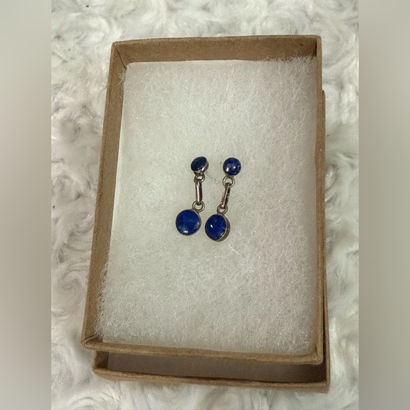 Blue and Silver Stud Earrings with Elegant Design - Picture 1 of 1